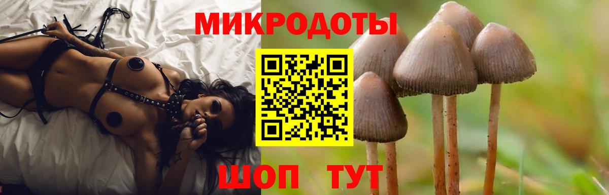 Павловский Посад  Псилоцибиновые грибы ЛСД  Вход с VPN 